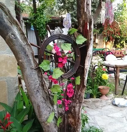 Sempati Сіде